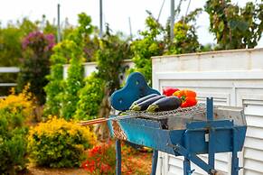 Napa Bay View Villa 4