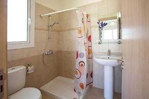 Daffodil in Protaras