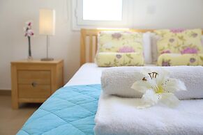 Daffodil in Protaras