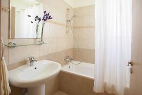 Daffodil in Protaras