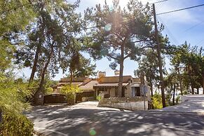 Platres Forest View Cottage