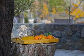 Platres Forest View Cottage