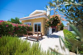 Ayia Napa Villa Danae