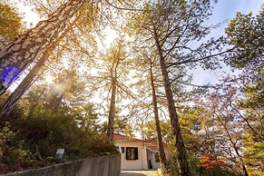 Platres Forty Pine Trees Cottage