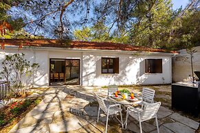 Platres Forty Pine Trees Cottage