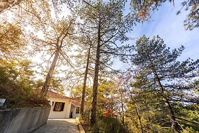 Platres Forty Pine Trees Cottage