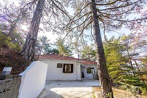 Platres Forty Pine Trees Cottage