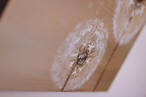 Appartements Sulzer - TOP 24