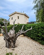 Protaras Artisan Seafront Villa 1