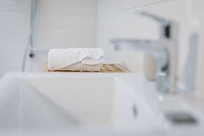 Chalet Badia in Zell am See