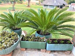 Twin Room in Hillside - 2087