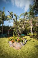 Quinta da Tia Briosa Casa da M e I