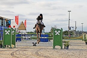 White Nature Apartment
