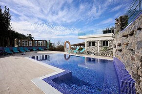 Casas Maravilha - Ba by Homie