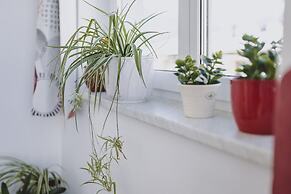 Appartements Sulzer - TOP 31