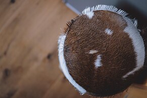 Appartements Sulzer - TOP 31