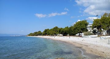 Kinetious Nisous in Kineta