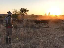 Bungalow 3 on This World Renowned Eco Site 40 Minutes From Vic Falls F