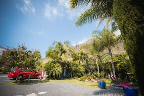 Quinta da Tia Briosa Palheiro I