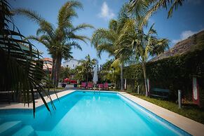 Quinta da Tia Briosa Palheiro I