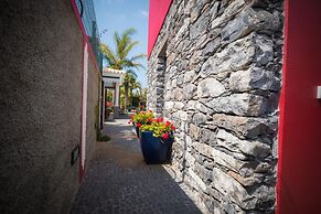 Quinta da Tia Briosa Palheiro I