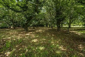 Nomad s Family - 4bdr Country House Macieira