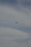 Dandy on the Beach Fisherman s Maisonette Private Sea View Quiet Up to