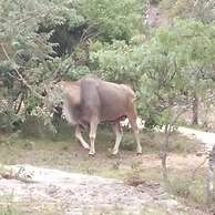 Nyanga Home set in a Secure Private Village - 2033