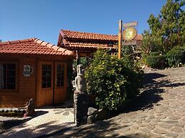Casas Maravilha - Rvore by Homie