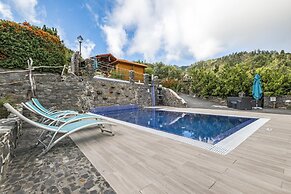 Casas Maravilha - Rvore by Homie