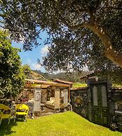Casas Maravilha - Rvore by Homie