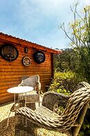 Casas Maravilha - Rvore by Homie