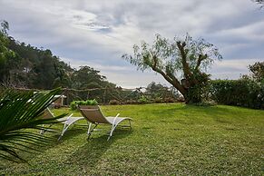 Casas Maravilha - Rvore by Homie
