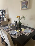 Andromaxi Near Snfcc