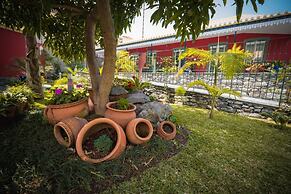 Quinta da Tia Briosa Casa da M e II