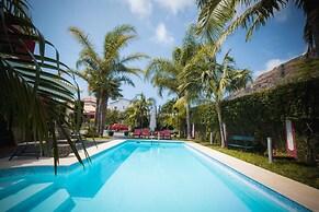 Quinta da tia Briosa Casa da Av