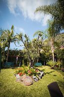 Quinta da tia Briosa Casa da Av