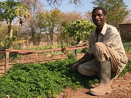 Bungalow 1 on This World Renowned Eco Site 40 Minutes From Vic Falls F