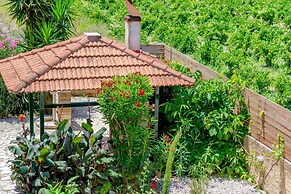 Villa Agricola With Private Swimming Pool