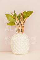 Villa S Louren o by Acasadascasas