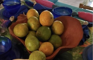 Seacret Studios - Cozy Jamaican Retreat Apts by RedAwning