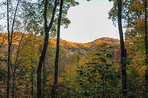 Mountain-view Robbinsville Cabin w/ Hot Tub!