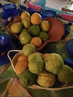 Seacret Studios - Cozy Jamaican Retreat Apts by RedAwning