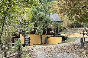 Pet-friendly Leicester 'mountain View' Escape