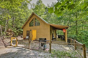 'bumblebee Cottage' Murphy Retreat w/ Hot Tub