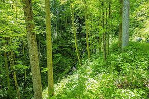 Peaceful North Carolina Retreat With Game Room!