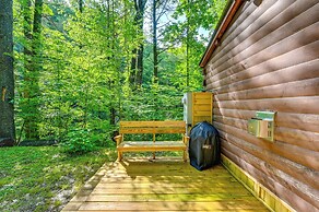 Rosman Vacation Rental w/ Charcoal Grill!