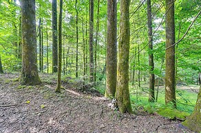 Rosman Vacation Rental w/ Charcoal Grill!