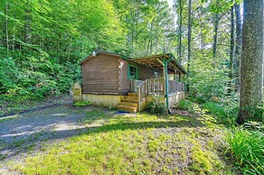 Rosman Vacation Rental w/ Charcoal Grill!