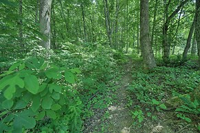 Settlers Mountain Retreat: On-site Hikes & Views!